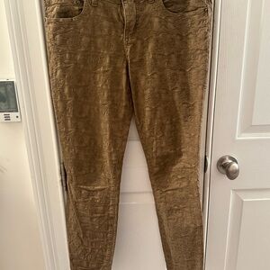 Free People Brown Patterned Pant